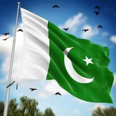 pakistan flag