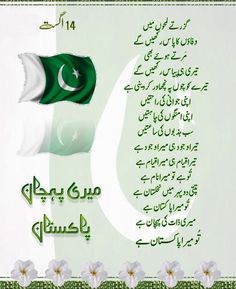 pakistani flag pics