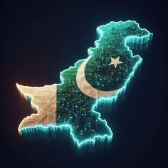 pakistan flag