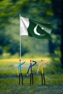 pakistan flag